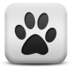 Captcha image 9655